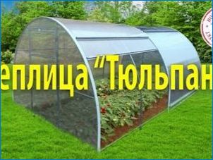 Tulipán üvegházak: Modellek nyitó oldalakkal és csúszó tetővel