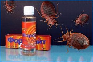A Bedbugs forsight alapok használata