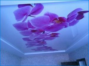 Stretch mennyezet orchidea: eredeti dekoráció a belső térben
