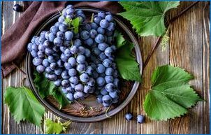 Hogyan lehet szőlőt termeszteni egy csontból?