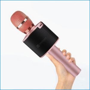 Karaoke mikrofonok Bluetooth: Hogyan kell dolgoznunk és hogyan kell használni?