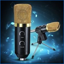 Karaoke-mikrofonok: típusok, modellek minősítési és üzemeltetési szabályok