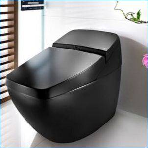Fekete WC: Modern design trendek