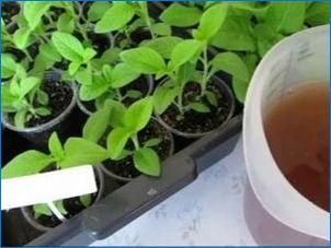 Petunia Supercount: Típusok és termesztési finomságok