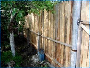 Pólusok a kerítéshez: fajták és telepítési munka