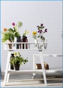 Az IKEA virágok állnak: funkciók, típusok és tippek a kiválasztáshoz