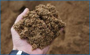 Milyen talajra van szükség a zamiculkas számára?