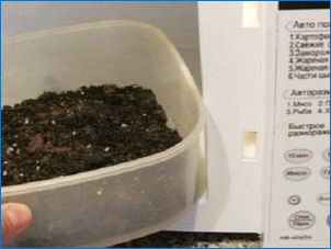 Milyen talajra van szükség a zamiculkas számára?