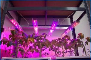 Ultraibolya lámpák növények számára: Jellemzők, típusok és használati feltételek