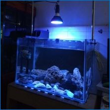 LED-es szalagok akváriumhoz
