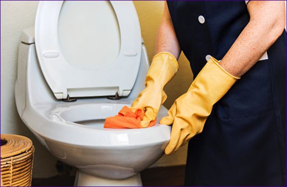 Hogyan tisztítsuk meg a WC-t a rozsdától a háztartási vegyi anyagok és rögtönzött eszközök használatával