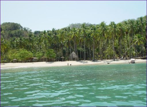 Tortuga sziget