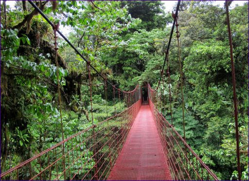 Monteverde Nemzeti Park