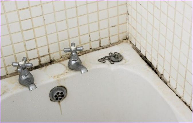 Hogyan lehet orvosolni a penész a fürdőszobában - népszerű jogorvoslatok és háztartási vegyszerek