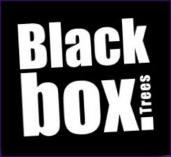 Fekete doboz