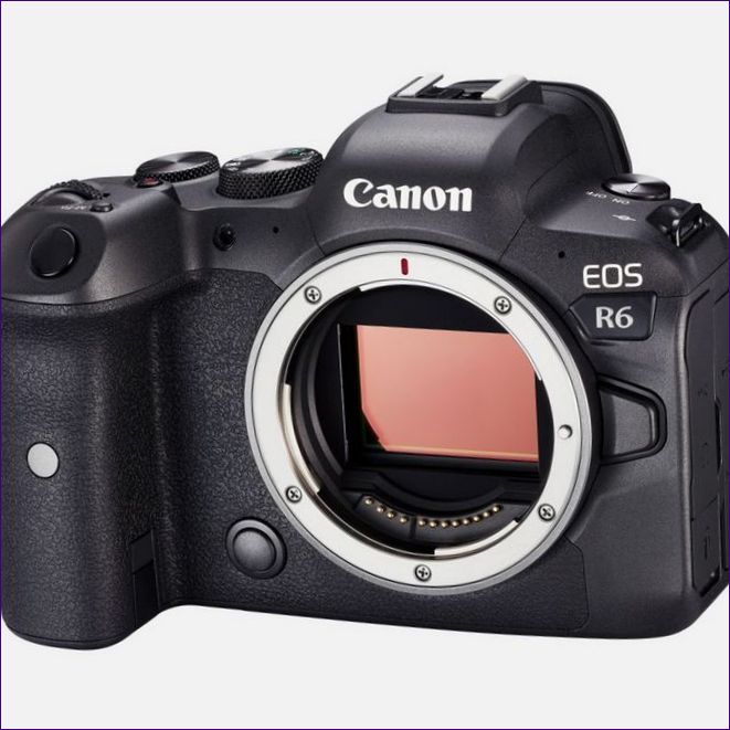 Canon EOS R6 test fekete