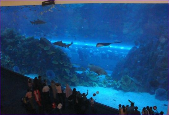 Dubai Akvárium