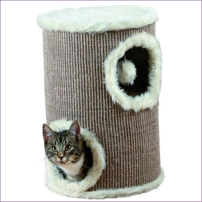 Dome-torony macskáknak Edorado