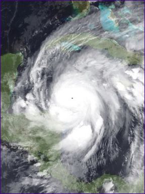 Wilma hurrikán