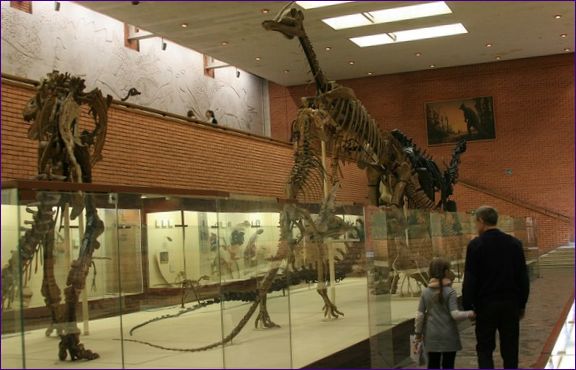 Paleontológiai Múzeum n.a. Y.A. Orlov, Orosz Tudományos Akadémia. Az épületben található: 8 kiállítóterem, mozi és konferenciaterem