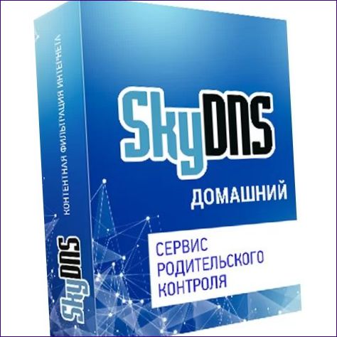 SkyDNS Főoldal