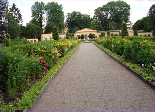 Linnaeus kertek