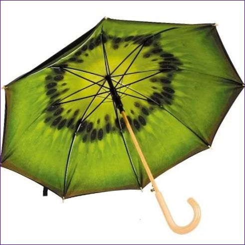 Esernyőfa AZ EGY GYÜMÖLCS! Kiwi