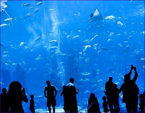 Dubai Akvárium