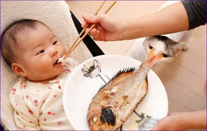 Hogyan készítsünk egy 1 éves gyermeket halakkal